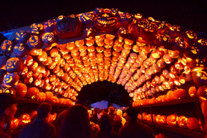 festival de jack o lantern